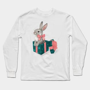 The Velveteen Rabbit Long Sleeve T-Shirt